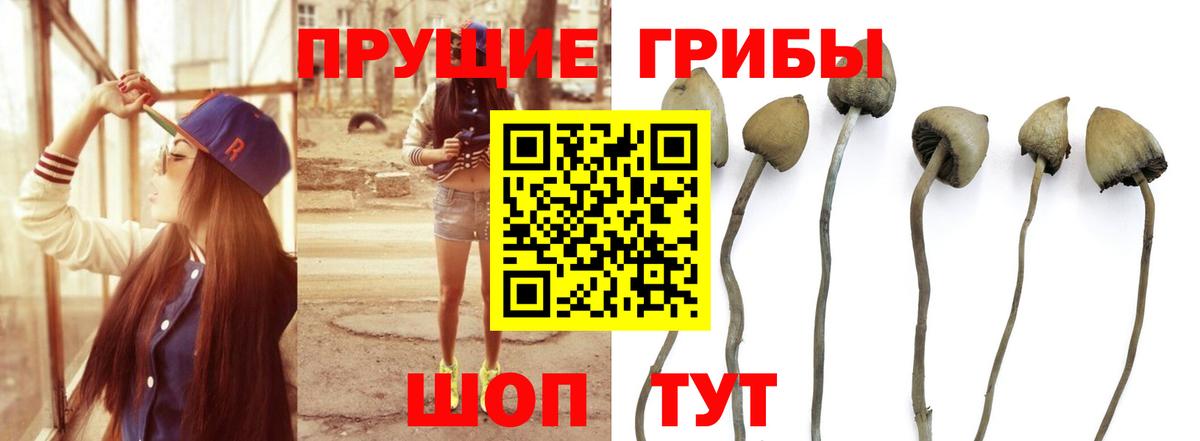 Галлюциногенные грибы мухоморы Каменск-Уральский